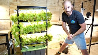 DIY Home Hydroponics Indoor Vertical System Set Up amp Timelapse [upl. by Hilde]