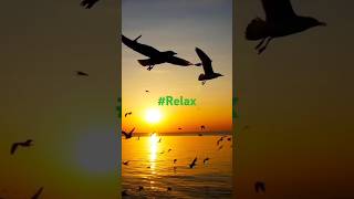 WOW 😊 Incredible Relaxing Piano Music With Soft Ocean Waves sleepmusic [upl. by Gillian]