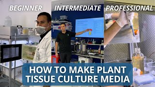 How To Make Plant Tissue Culture Media The Ultimate Guide Beginner Intermediate and Pro [upl. by Yong]