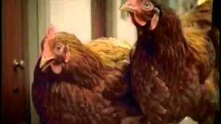 Burger King Chicken Fries Commercial HD [upl. by Leland937]