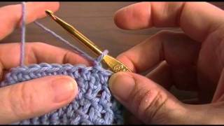 Crochet a Can amp Bottle Cozy [upl. by Thad]