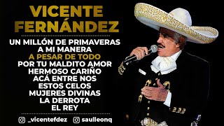 Vicente Fernández  Un Millón de Primaveras Letra  Lyrics [upl. by Aiekahs]