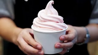 The Real Reason Why Frozen Yogurt Chains Are Disappearing [upl. by Cummine]