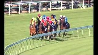 2008 Turnbull Stakes  Littorio [upl. by Aned]