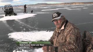 Flaming Gorge Lake Trout amp Rainbow Trout Through The Ice [upl. by Trebla]