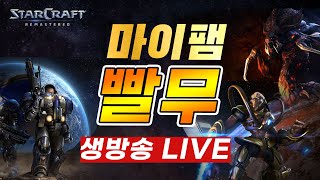 【빨무 LIVE】 스타 빨무 팀플 11 내전 중수50 빡겜 유튜버 240831 토 스타크래프트 StarCraft [upl. by Lihp]