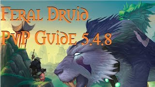 WoW 548 Feral Druid PvP Guide  TalentsGlyphsMacrosRotationGemsReforgeReforging 54 [upl. by Quickman]