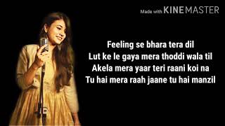 FEELINGS LYRICS Song  Vatsala  Feeling Se Bhara Tera Dil  Female Version  Full Lyrical Song [upl. by Warfourd]