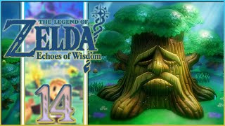 The Legend of Zelda Echoes of Wisdom 14 Forêt Ancestrale  Entrailles de Nihil [upl. by Ellehsad]