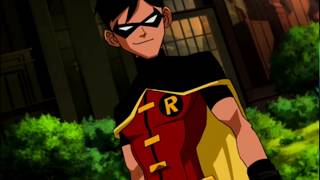 Young Justice  Robin X Reader Oneshot  Ryder Warner [upl. by Zahara923]