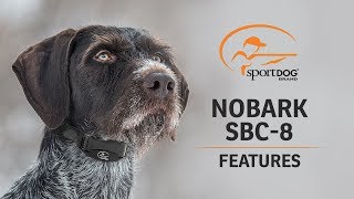 SportDOG Brand® NoBark SBC8  Features [upl. by Oremo]