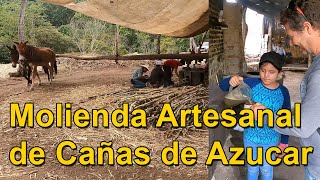 Visitamos una Molienda Artesanal de Cañas de Azucar para hacer alfeñique piloncillo y cachaza [upl. by Adnawyek343]