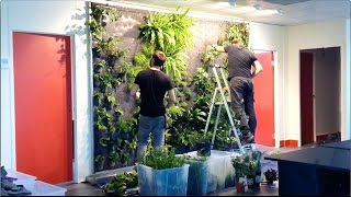 creating a green wall [upl. by Nnairak]