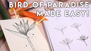 How To Draw Bird Of Paradise Like A Boss ✨ [upl. by Navy213]