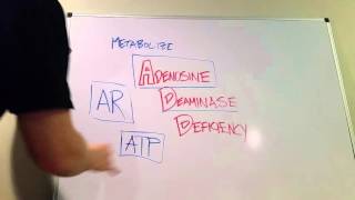 Adenosine Deaminase Deficiency Type of SCID [upl. by Lipp430]