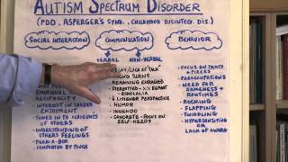 What Is Autism Spectrum Disorder [upl. by Lyndon]