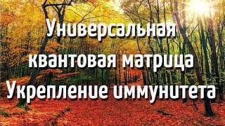 УНИВЕРСАЛЬНАЯ КВАНТОВАЯ МАТРИЦА ПП ГАРЯЕВА УКРЕПЛЕНИЕ ИММУНИТЕТА [upl. by Einreb]