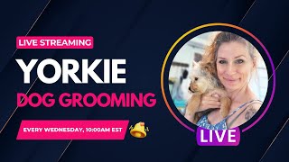 Dog Grooming With Elizabeth Jenn is live [upl. by Adams954]