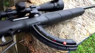 A17 25 round mag and shooting the A17 17hmr rocks [upl. by Rita]