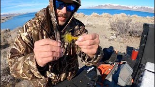 SHORE Fishing Pyramid Lake Nevada Tutorial [upl. by Ehcrop496]