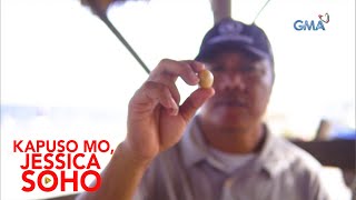 Kapuso Mo Jessica Soho Mangingisda nakapulot daw ng mamahaling perlas [upl. by Aztiray]