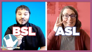 ASL and BSL Similarities and Differences  A Conversation With a BSL Teacher [upl. by Hgielrebma]