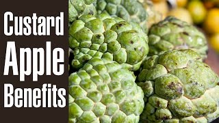 10 Health Benefits Of CUSTARD APPLE Sitaphal [upl. by Eggett]