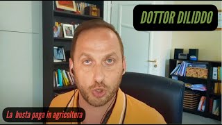 Il sostituto di imposta agricoltura [upl. by Chloris1]