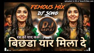 Bichada Yar Mila De Rab Ko Yad Karu Femous DJ Mix Song DJ Ravi RJ [upl. by Rhyne]