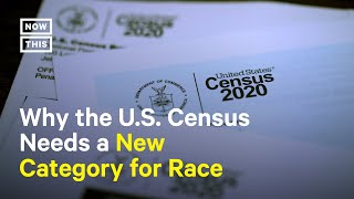 Why the US Census Needs A New Category for Arab Americans [upl. by Capps]