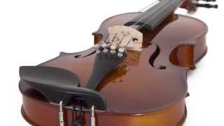 Cecilio CVN300 Violin Product Demo [upl. by Hnao926]