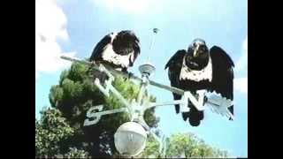 Windex Talking Crows Commercial 1999 [upl. by Iam401]