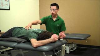 Lower and Middle Trapezius Exercises [upl. by Hagar]