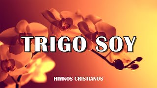 TRIGO SOY DEL GRANERO DEL SEÑOR  Himnos Antiguos de la Asamblea de Dios  Selección de himnos [upl. by Siahc714]