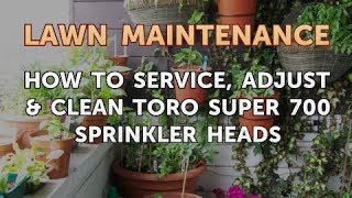 How to Service Adjust amp Clean Toro Super 700 Sprinkler Heads [upl. by Gauldin]