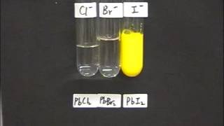 Precipitation forming PbCl2 PbBr2 PbI2 [upl. by Steffie]