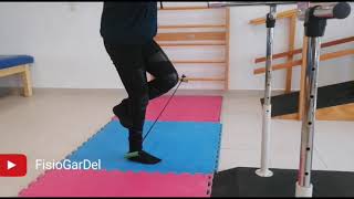 Ejercicio para tibial posterior [upl. by Hersch845]