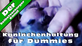 Kaninchenhaltung fuer Dummies [upl. by Mckenna]