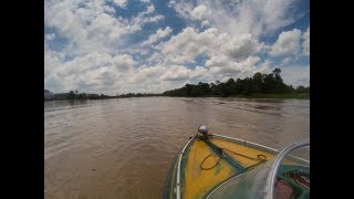 Borneo river journey [upl. by Cheney]