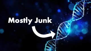 Junk DNA Its a Thing [upl. by Elrae]