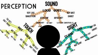 Sensation amp Perception Information Processing in the Brain [upl. by Pentheas]