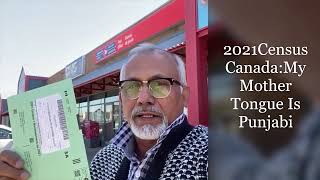 2021 Census Canada My Mother Tongue Is Punjabi [upl. by Gniy]