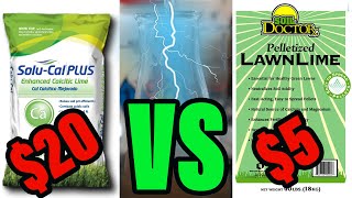 Which Lime For Lawns Is More Powerful [upl. by Viehmann418]