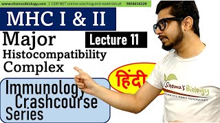 MHC Class 1 and class 2  Major histocomoatibility complex in Hindi [upl. by Adnale]