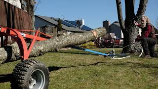 Log Skidding with Fetching Arch and Hand Winch [upl. by Sontag]