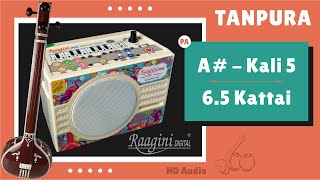 Raagini Tanpura A Sharp Female  Carnatic 65 Kattai Shruti  रागिनी तानपुरा काली ५ Download [upl. by Lienhard]