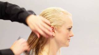 Aveda HowTo  Everyday Body amp Increased Volume for Fine Hair [upl. by Lleinnad]