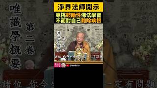 淨界法師：有些人專挑鼓勵性的佛法學習，從來不面對自己，難除病根  Seeking Only Encouraging Teachings and Avoiding SelfReflection [upl. by Legra]