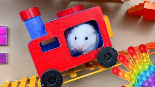 😱 Hamster Escape Maze  Hamster Cute pets Maze hamsterescape mazediytraps hamsterescape 197 [upl. by Neeluqcaj]