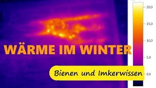 Imkerwissen Wärme in der Wintertraube  Imkerei Goldbluete [upl. by Inaluiak]